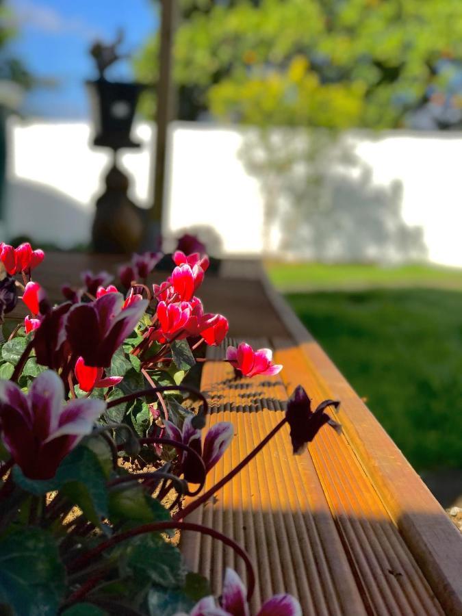 מלון אוקלנד Onehunga Garden Tinyhouse With Parking מראה חיצוני תמונה